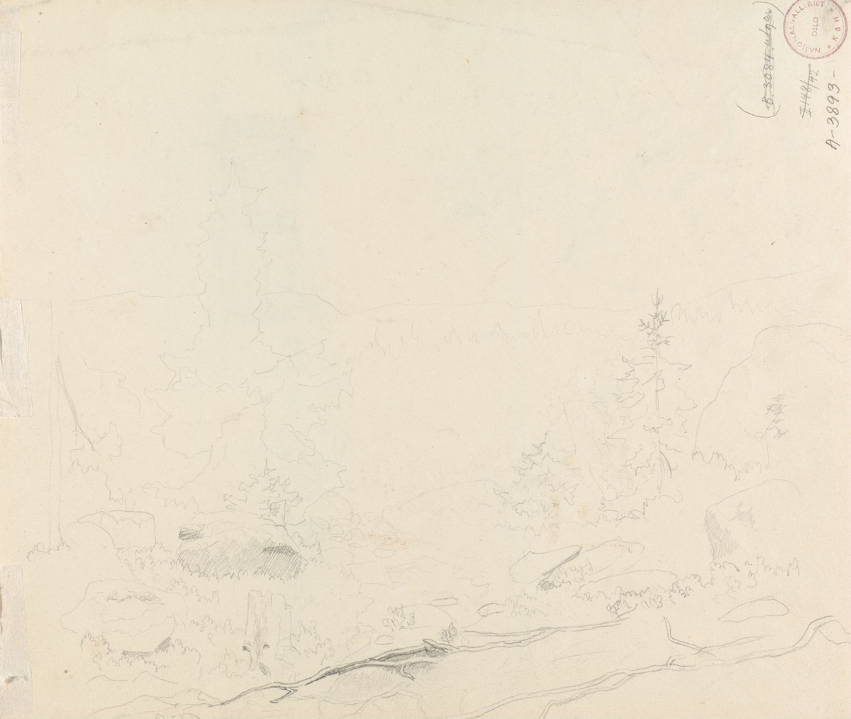 Skogsinteriør [Tegning]