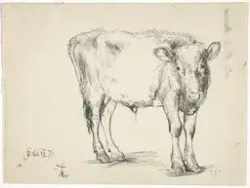 Kalven "Thor" [Tegning]