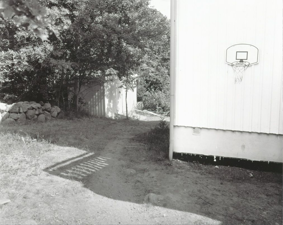 Basketballkurv (fra serien Sommerlys) [Fotografi]