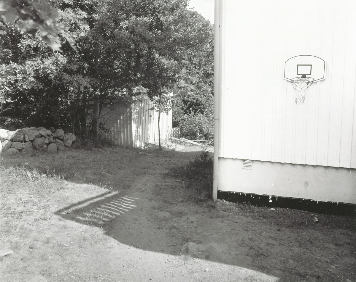 Basketballkurv (fra serien Sommerlys) [Fotografi]