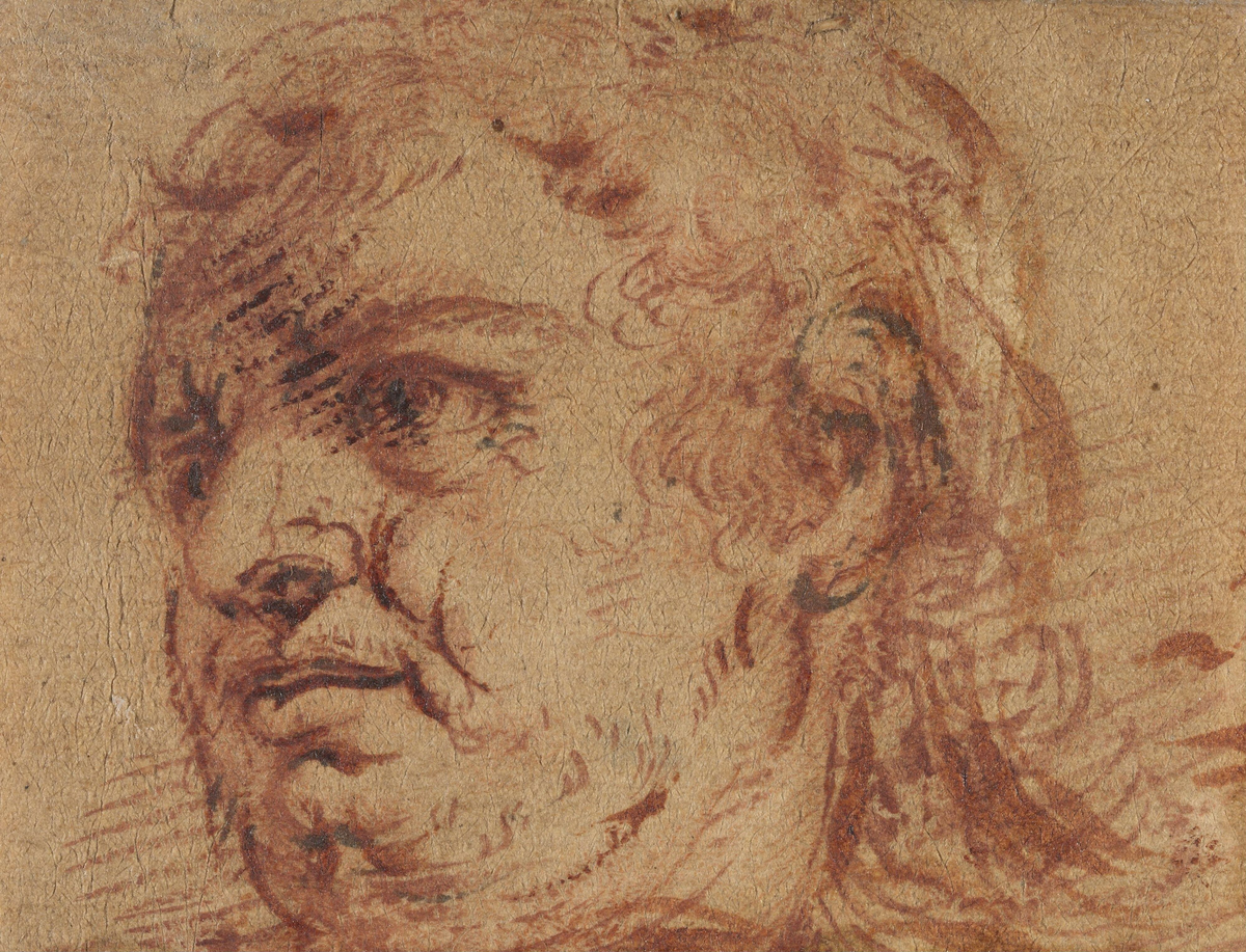Mannshode [Tegning]