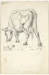 Gressende ku [Tegning]