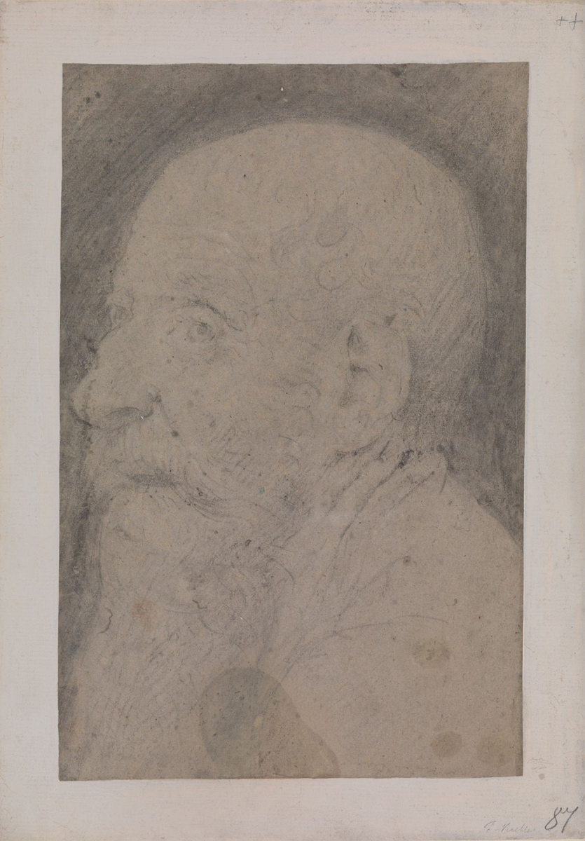 Hode av gammel mann [Tegning]
