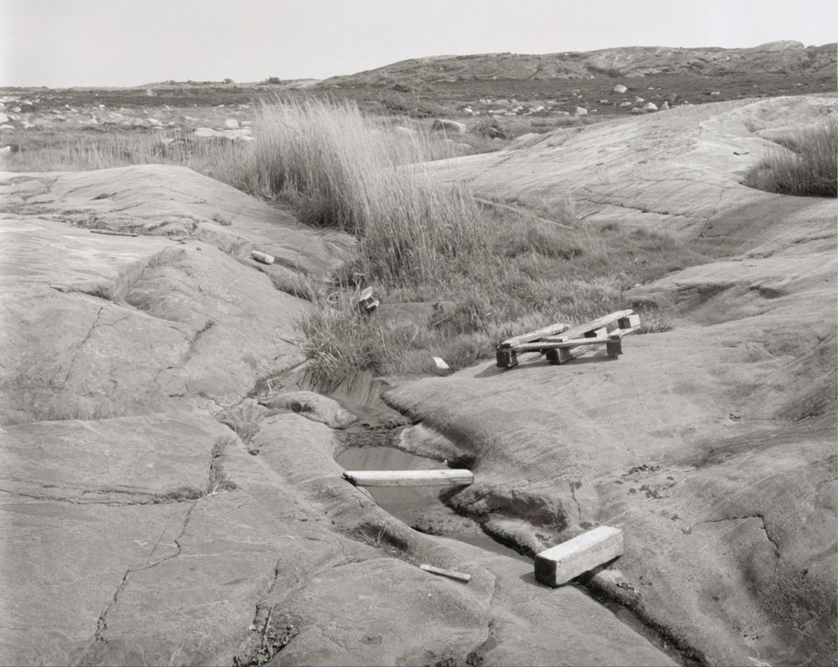Drivved mot øst (fra serien Sommerlys) [Fotografi]