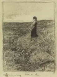 Aldri hadde prinsessen sett så mye myrdun før [Tegning]