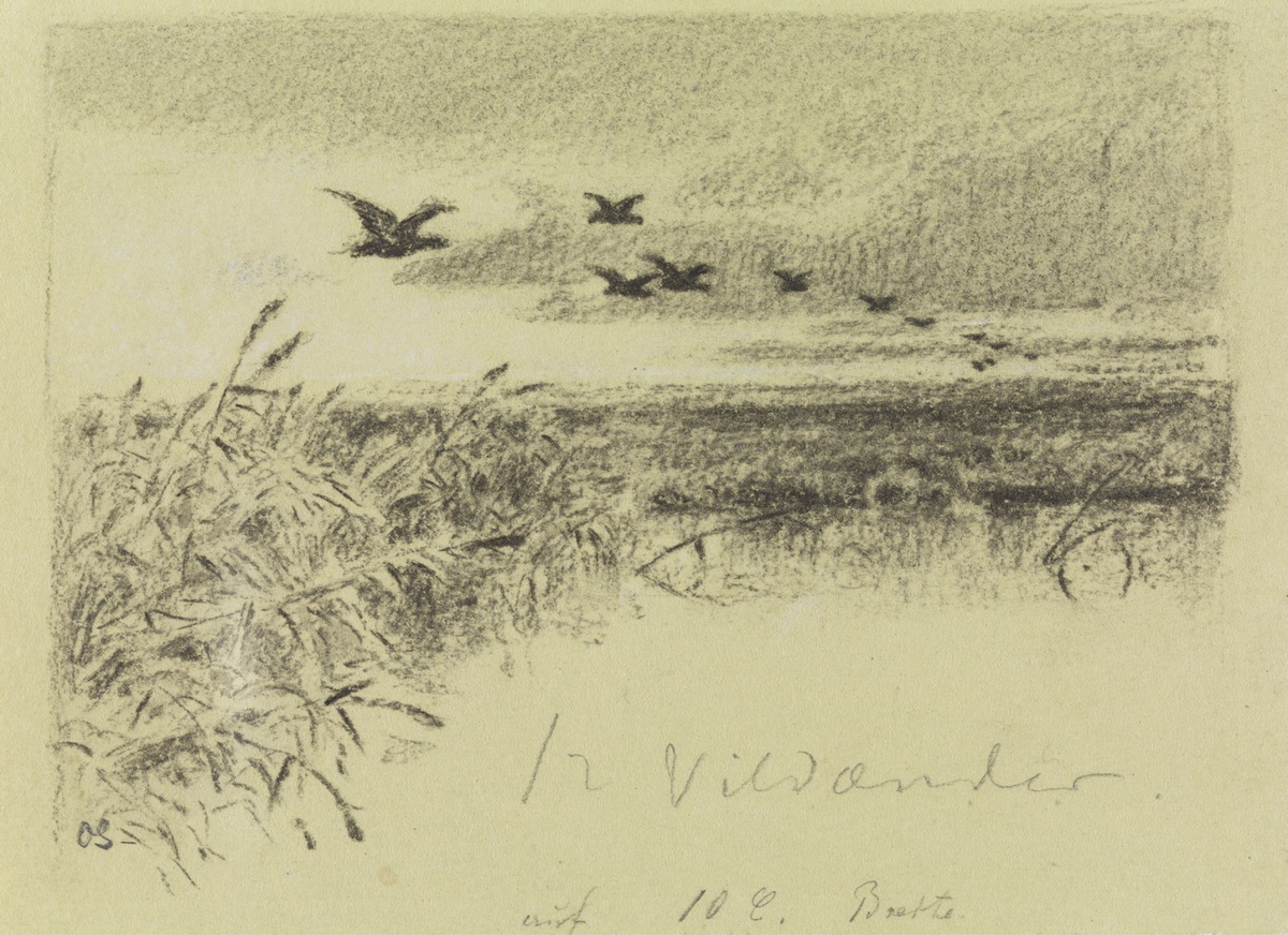 De tolv villender [Tegning]