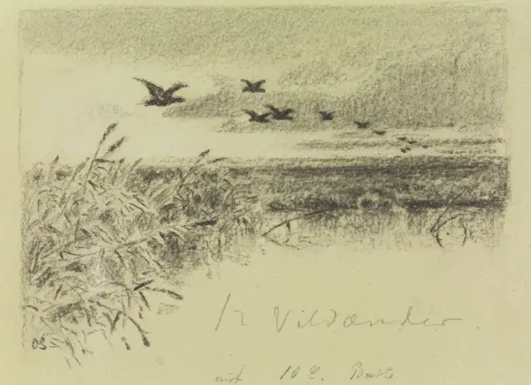 De tolv villender [Tegning]