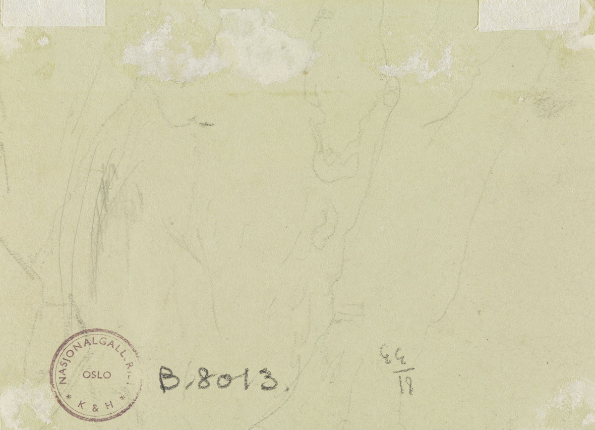 De tolv villender [Tegning]