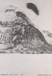 Healing Mountain [Assemblage]