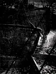 (Uten tittel) [Fotografi]