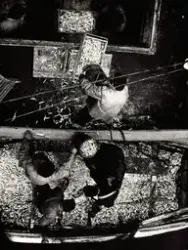 (Uten tittel) [Fotografi]