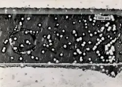 (Uten tittel) [Fotografi]