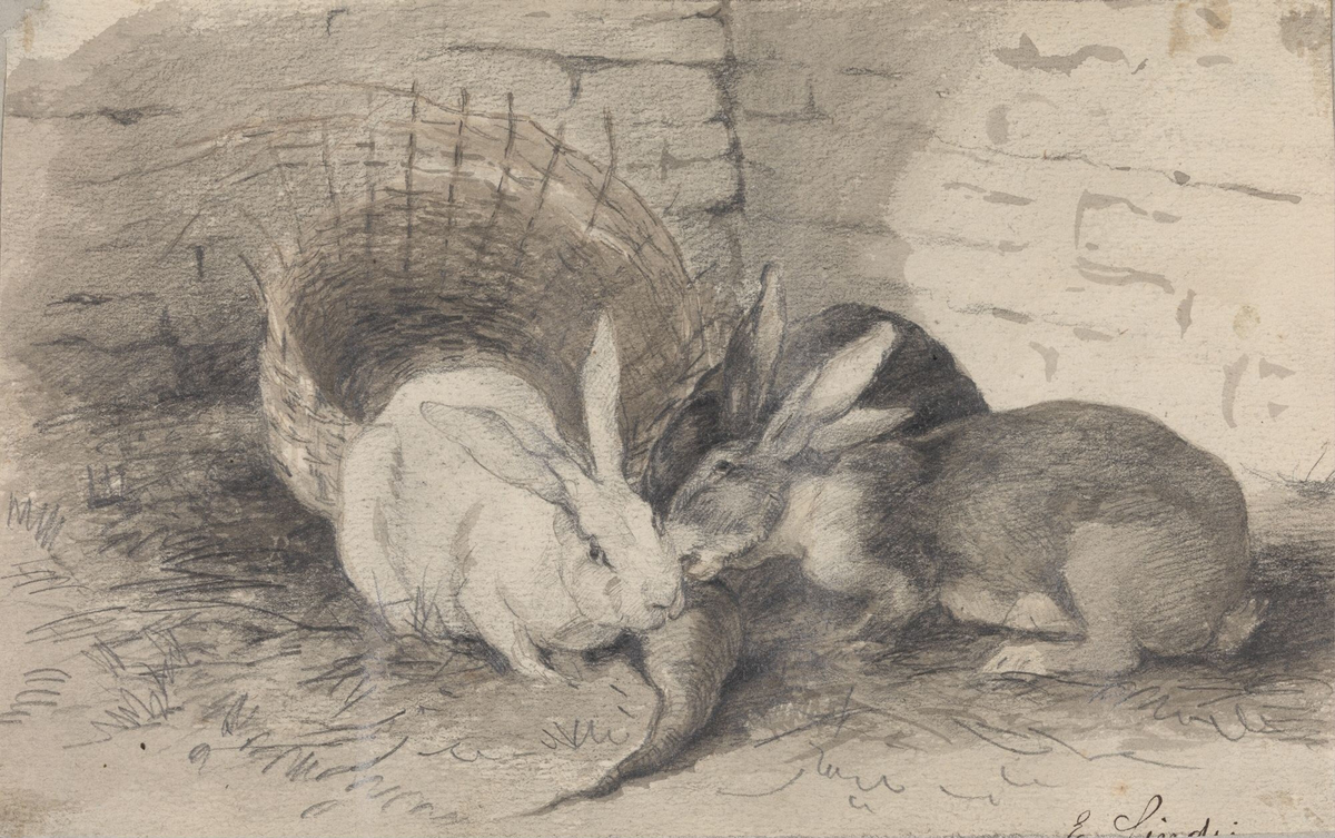 Tre kaniner [Tegning]