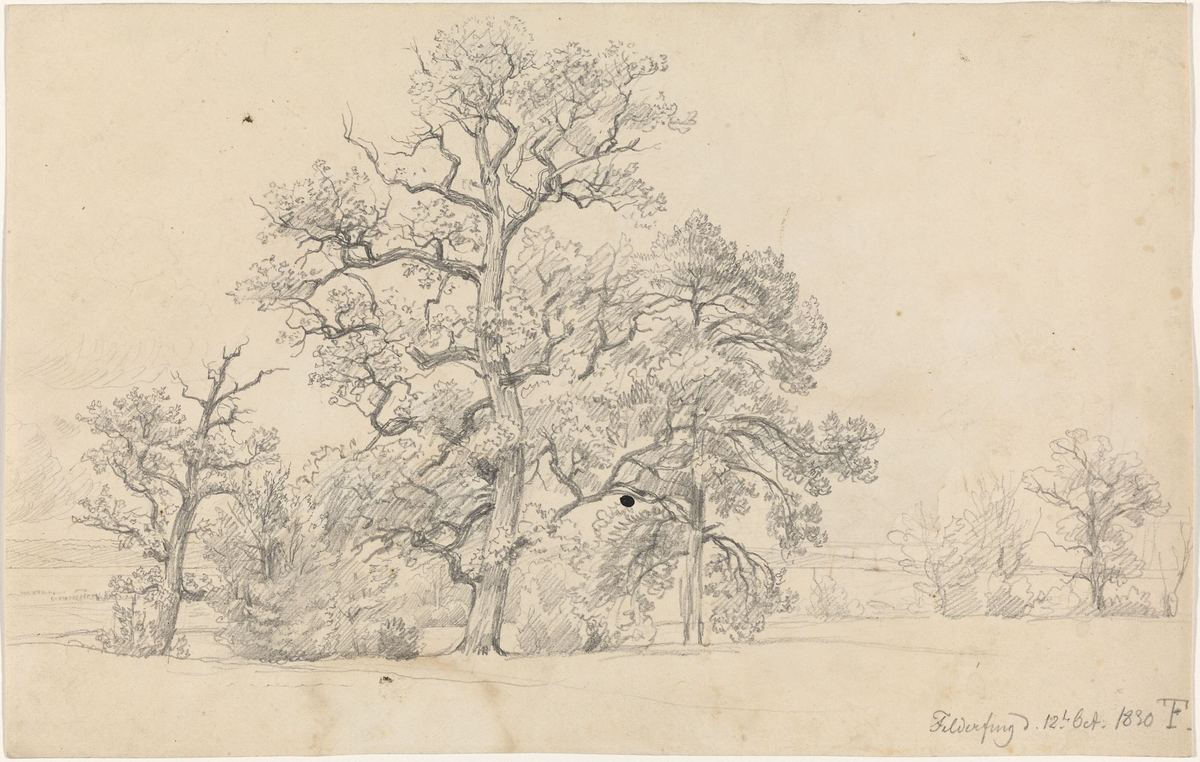 Tregruppe, Feldafing [Tegning]