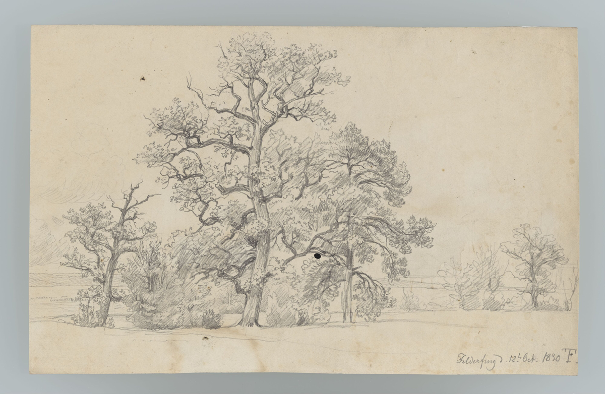 Tregruppe, Feldafing [Tegning]