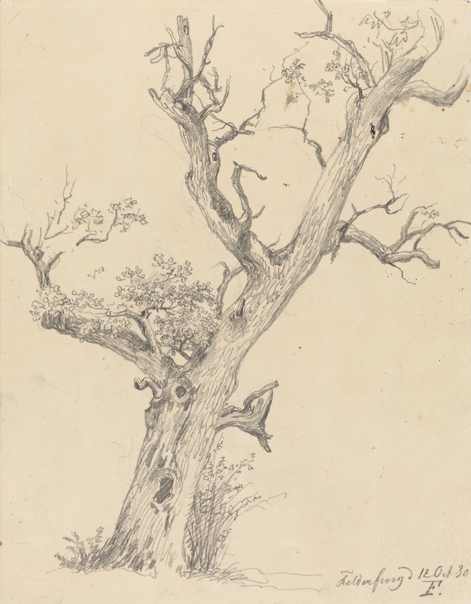Tre, Feldafing [Tegning]