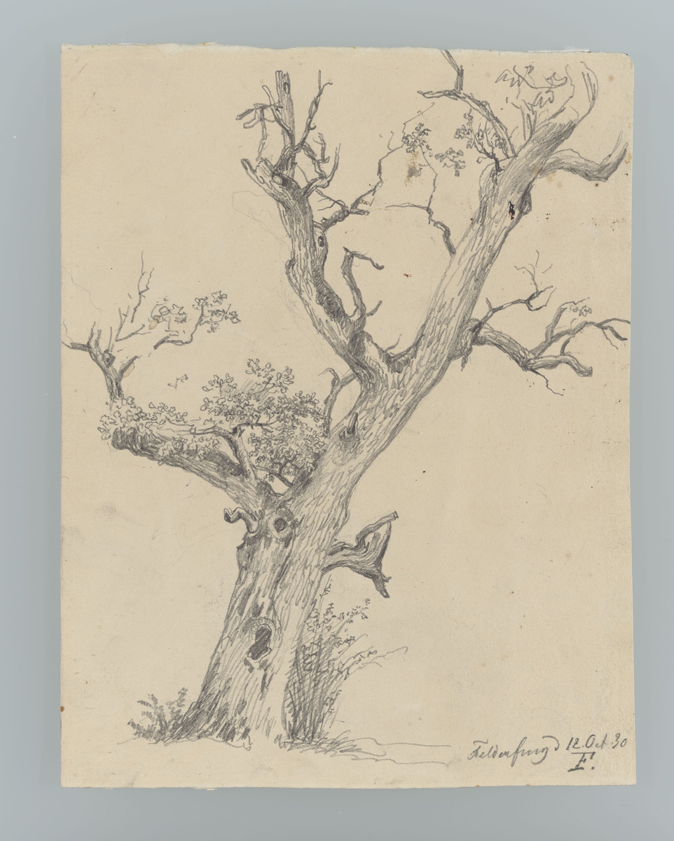 Tre, Feldafing [Tegning]