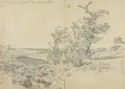 Lüneburgerheden, etter Christian Morgenstern [Tegning]