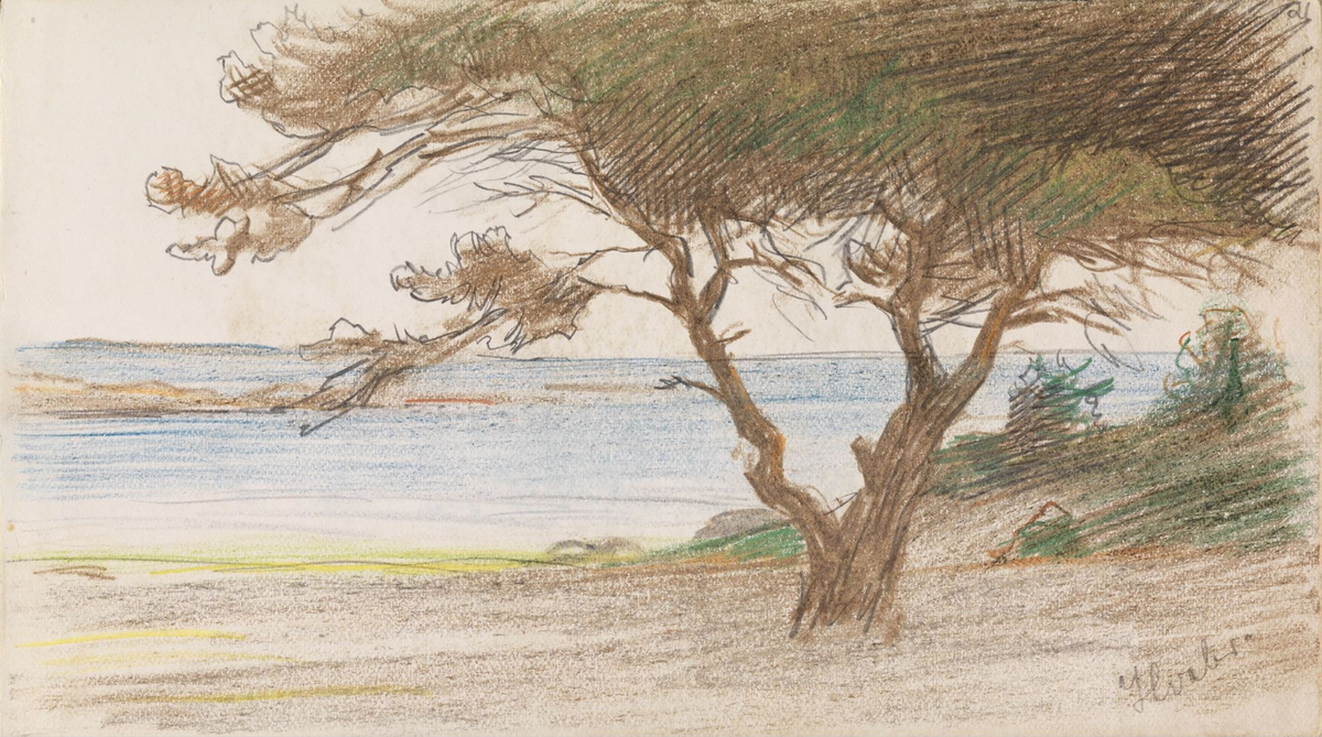 Kystlandskap, Hvaler [Tegning]