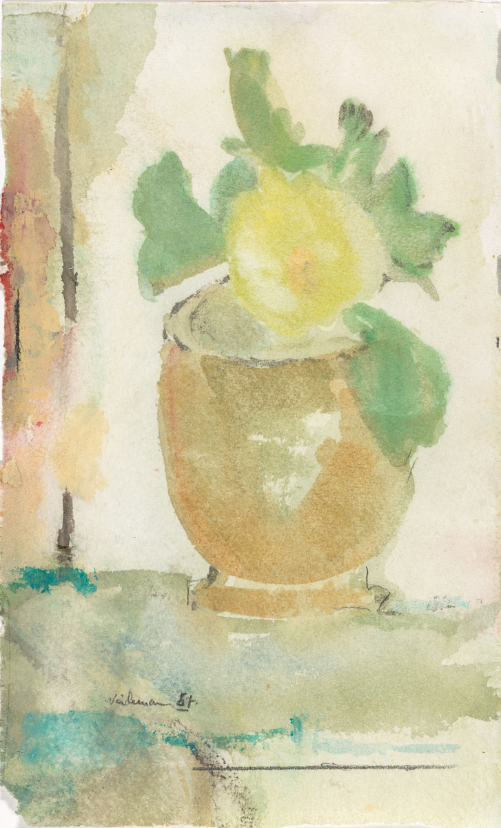 Gul blomst [Tegning]