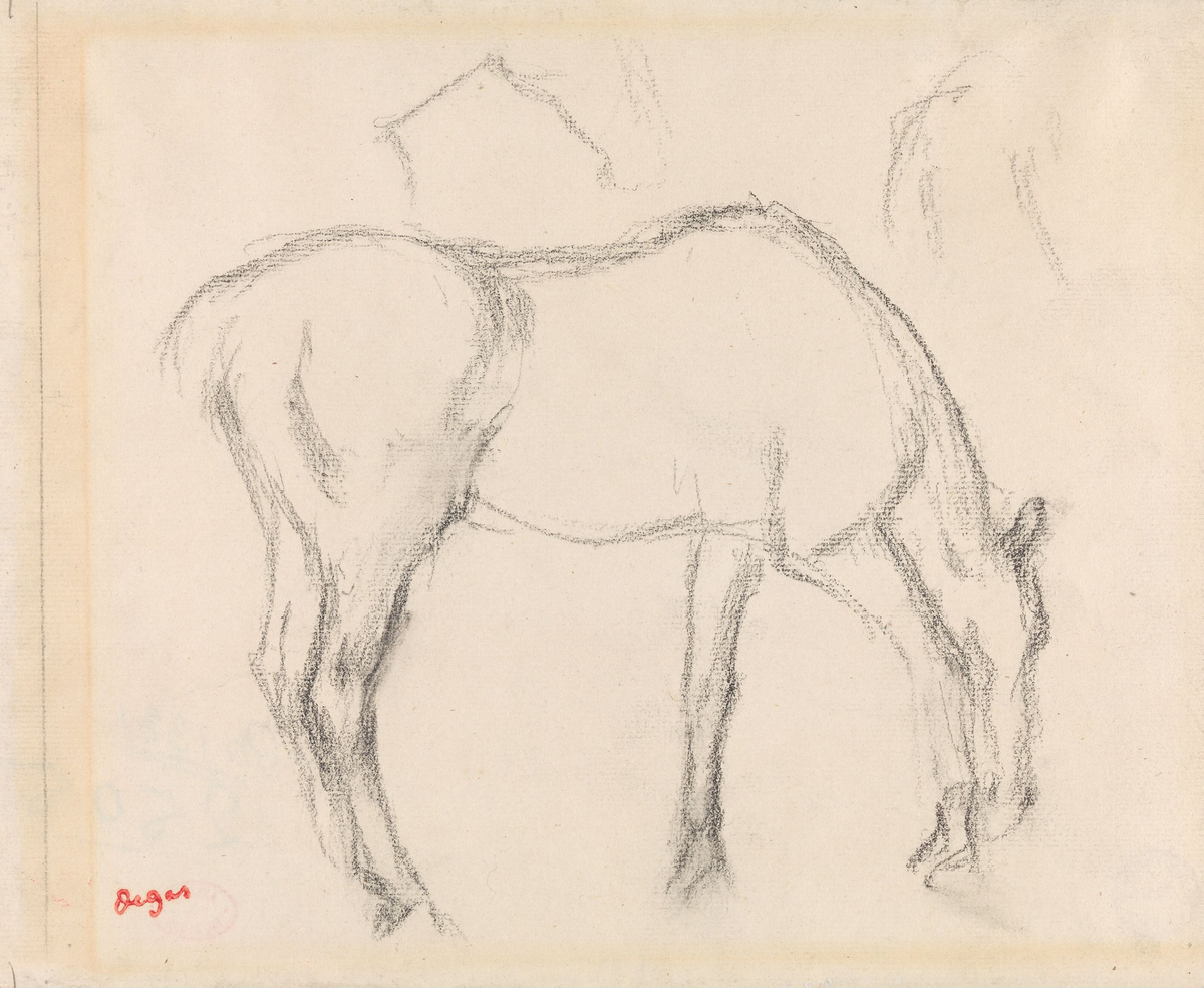 Hestestudie [Tegning]