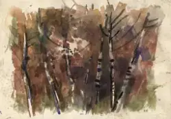 Høstbjørk [Tegning]