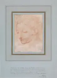 Kvinnehode [Tegning]