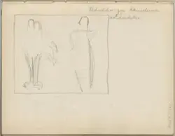 Rebekka gir vann til Eliezers kameler [Tegning]