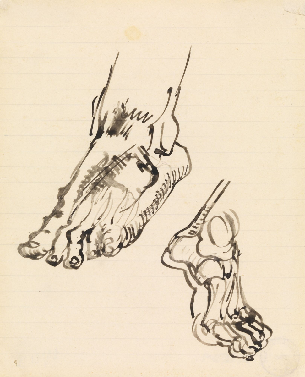 Studier av føtter [Tegning]