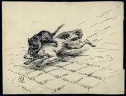 Katt som angriper hund [Tegning]