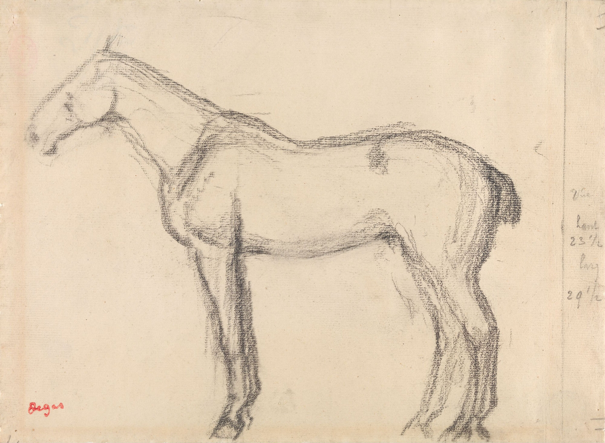 Hest [Tegning]