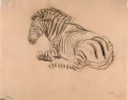 Liggende zebra [Tegning]