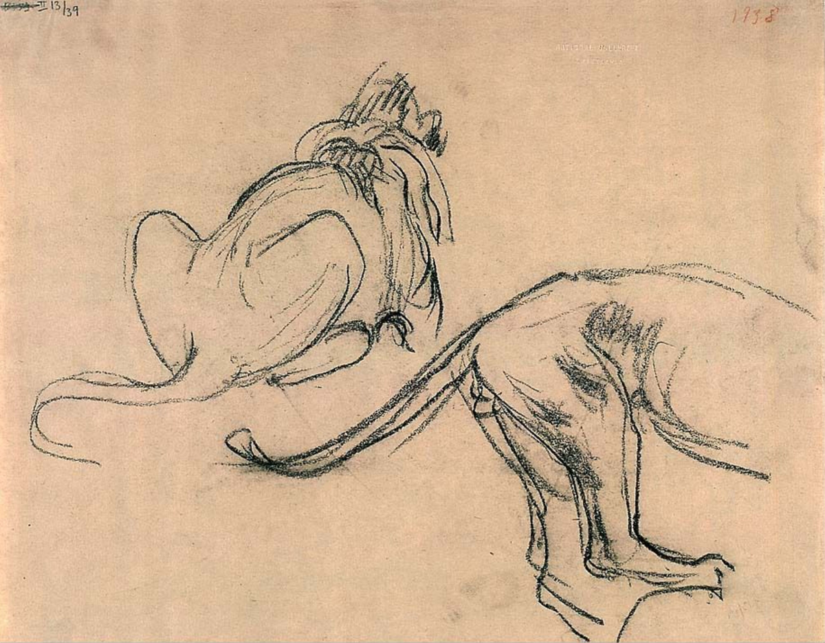 Løvestudier [Tegning]