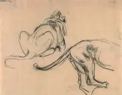 Løvestudier [Tegning]