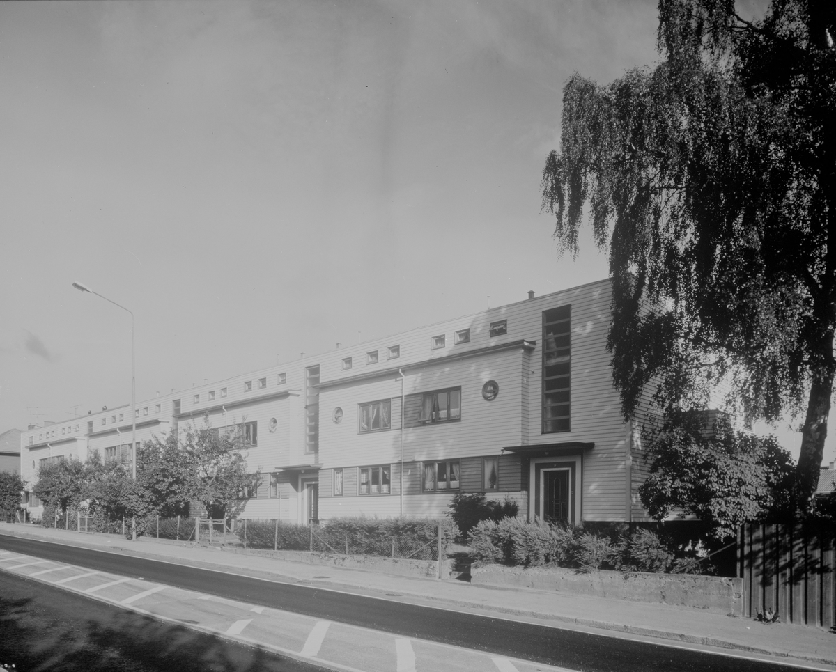 Oddernesveien [Fotografi]