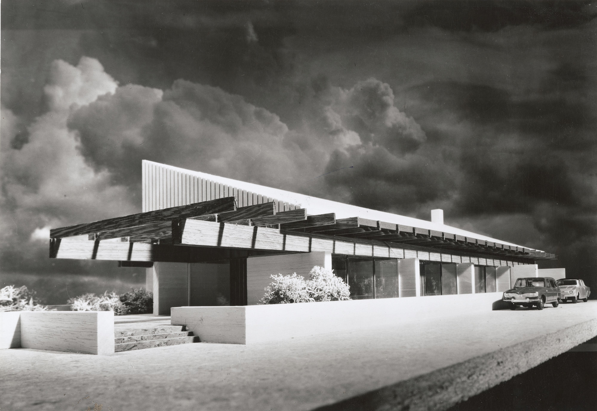 Taverna veikro [Fotografi]