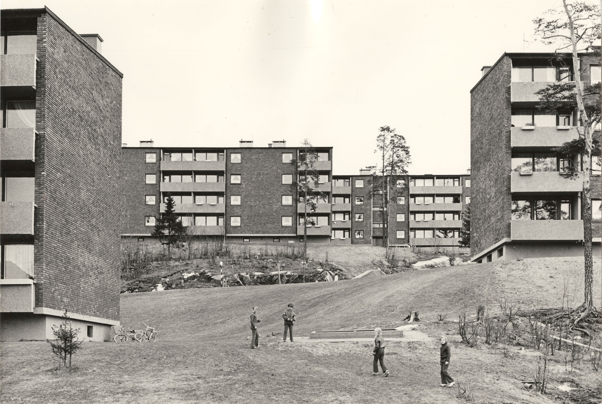 Smalvollskogen [Fotografi]