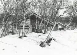 Hytte oppført etter Ål-hytta byggesystem [Fotografi]