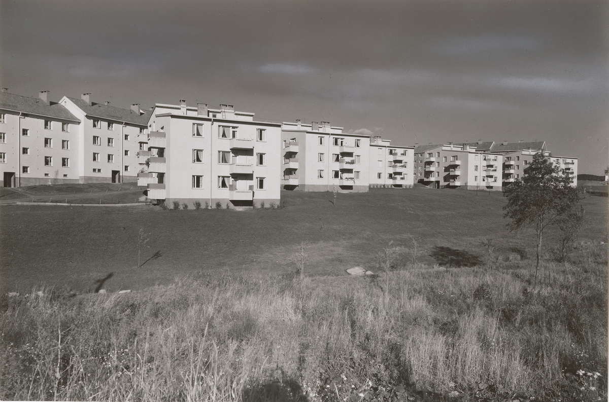 Boligblokker, Valle [Fotografi]