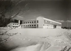 Skogforsøksvesenet [Fotografi]