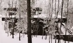 Enebolig for Rostad [Fotografi]