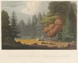 Kirkegården på Kollen [Grafikk]