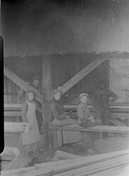 Fra Haugsaga i Sigdal, før 1920. Ukjente personer.