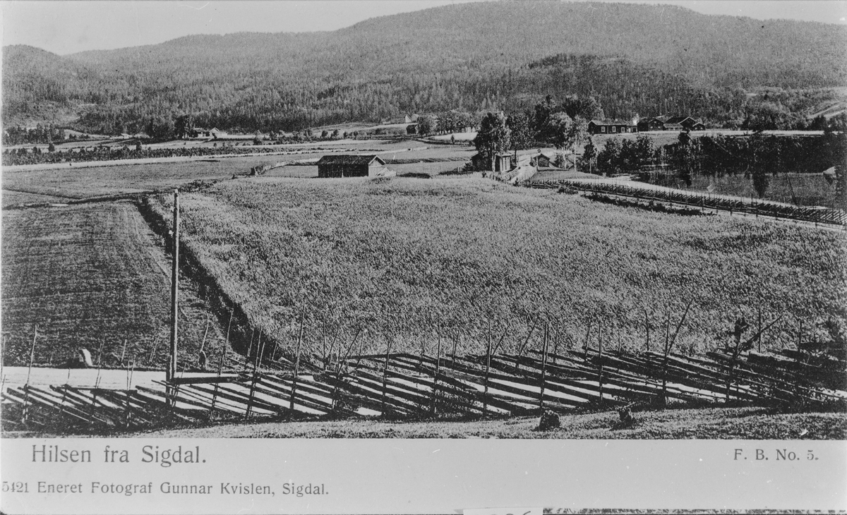 "Hilsen fra Sigdal".