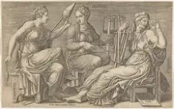 De tre parcer [Grafikk]