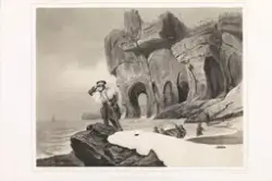 Fra Bjørnøya eller Beeren-eiland [Grafikk]