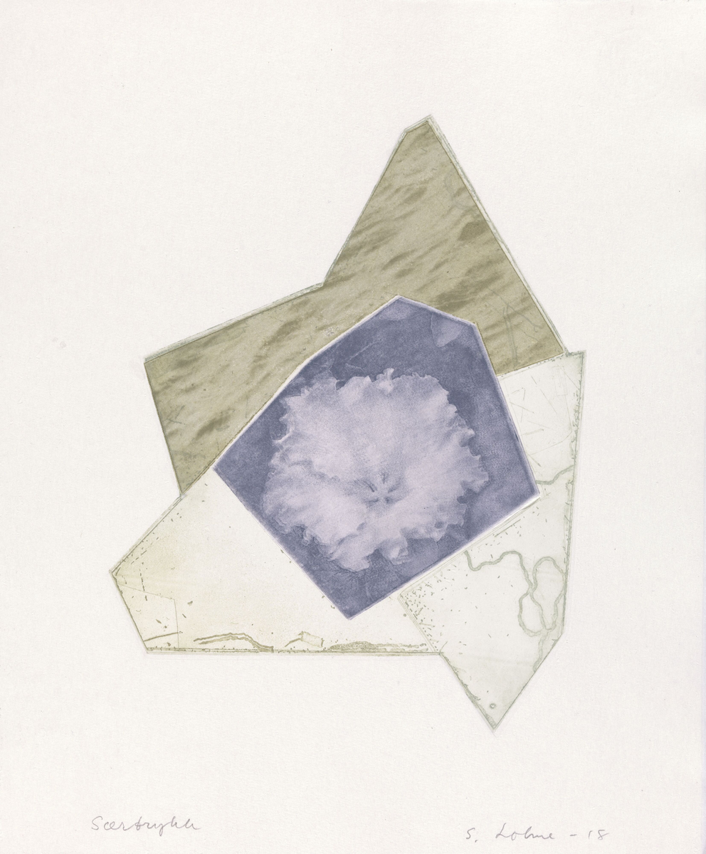 Hav og vekst [Grafikk]