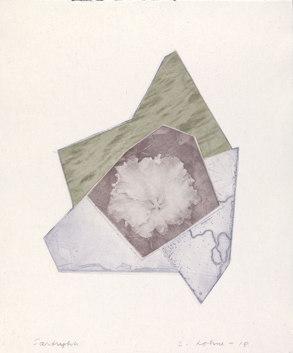 Hav og vekst [Grafikk]