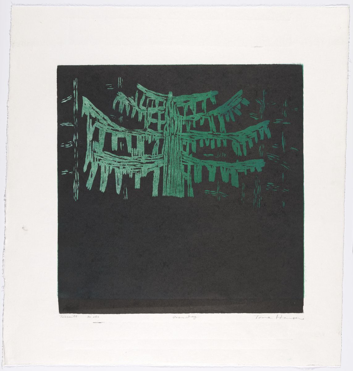 Granskog (grønn) [Grafikk]