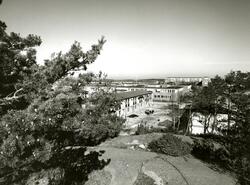 Korsåsen Korsåsgatan Korsåsliden
Radhus uppförda 1973-74
Bostadsaktiebolaget lät sin elementfabrik producera betongelement till radhusen på Korsåsen som ett experiment. Korsåsen blev det enda området av sitt slag som byggdes på det här viset, trots att husen ansågs vara både prisvärda och med hög trivsel.